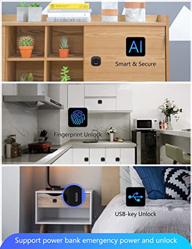Fingerprint Cabinet Lock I8013
