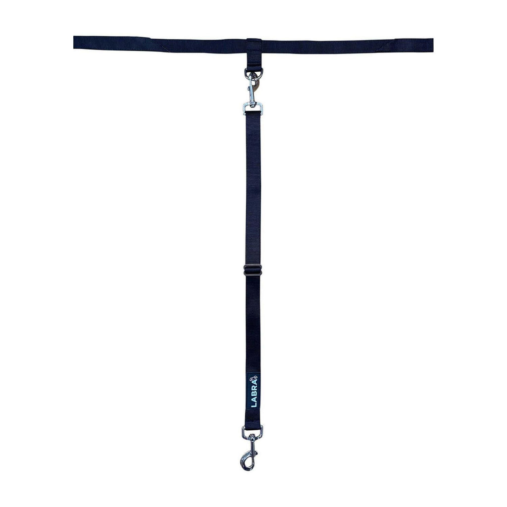 Dog Truck Bed Leash Tether I302130