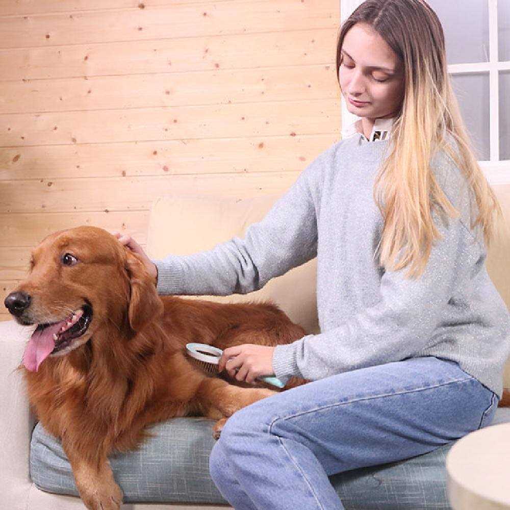 Modern Pet Grooming Rake Comb A53072