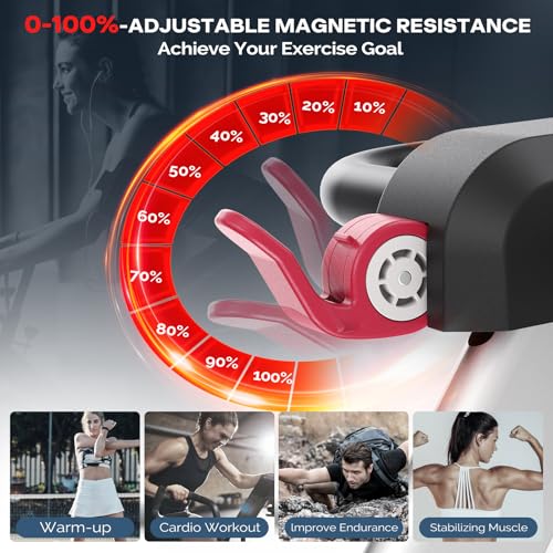 Exercise Bike, Indoor Cycling Bike with LED Display P1028