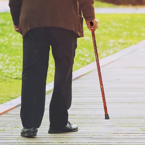 Natural Wood Walking Stick Cane X331176