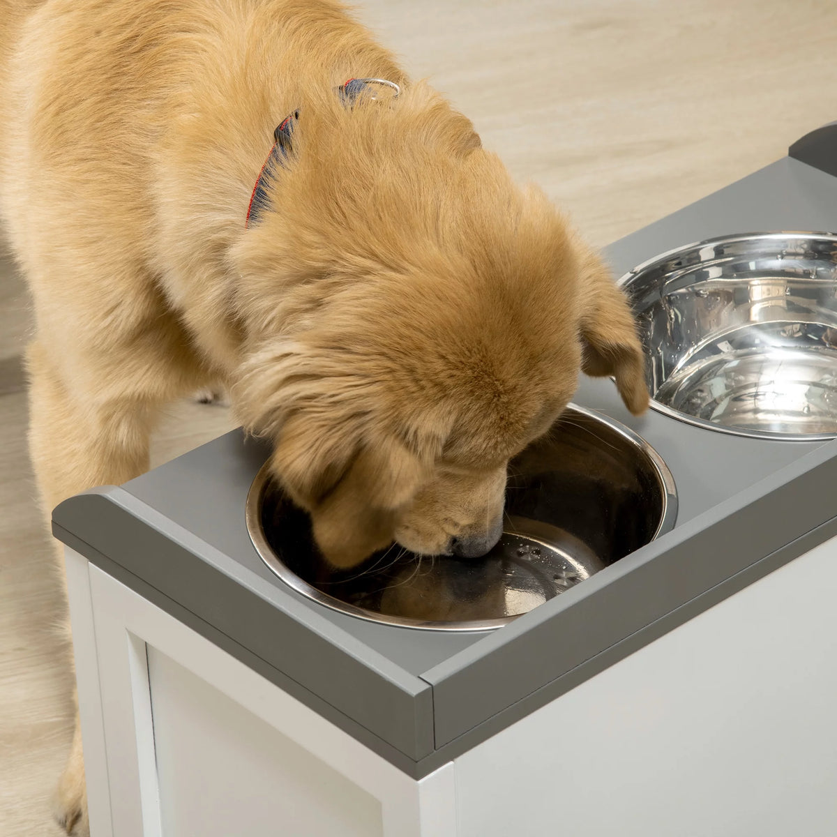 Large Elevated Dog Bowls with 2 Stainless Steel Bowls Z301