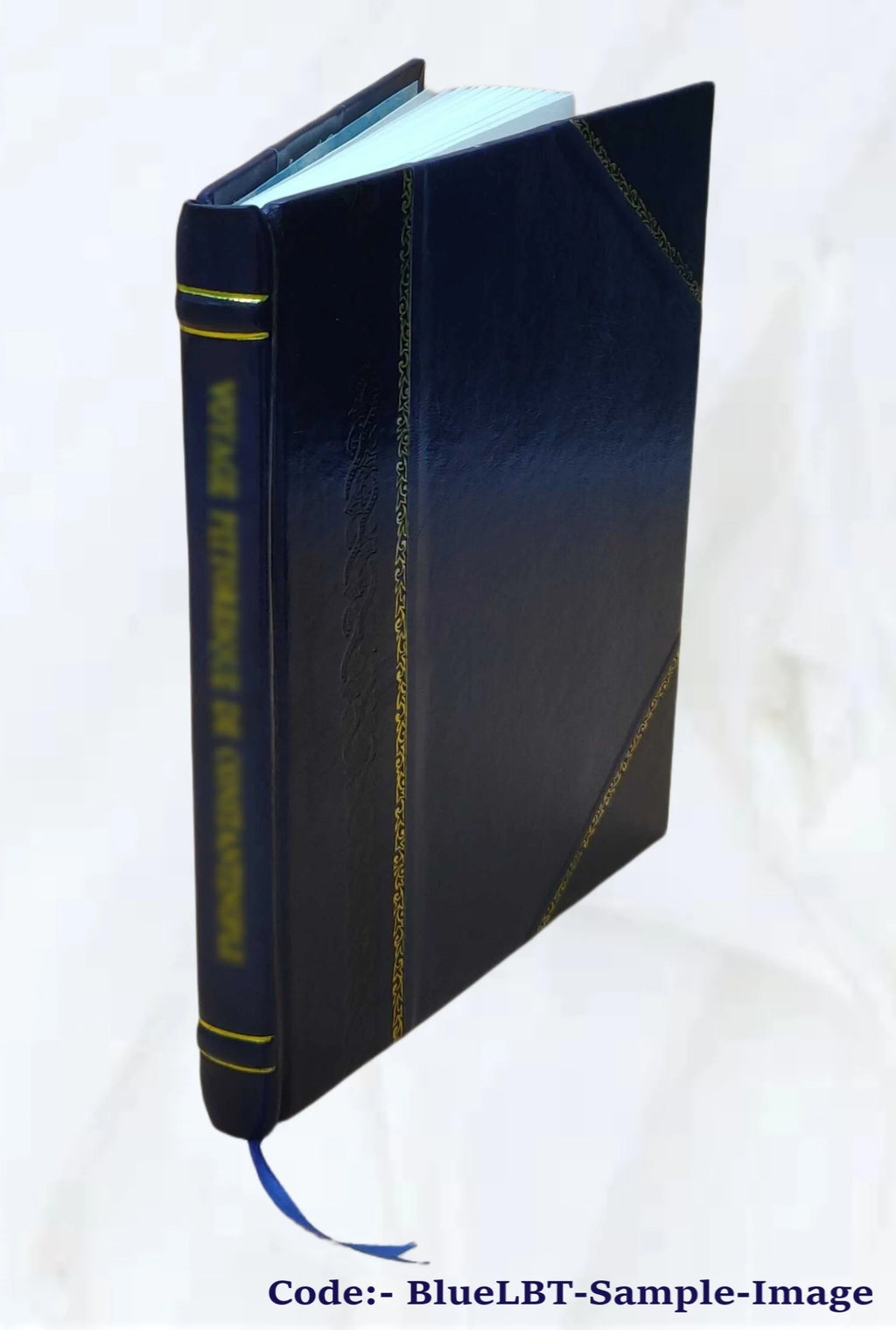 Leather Bound Book I568121