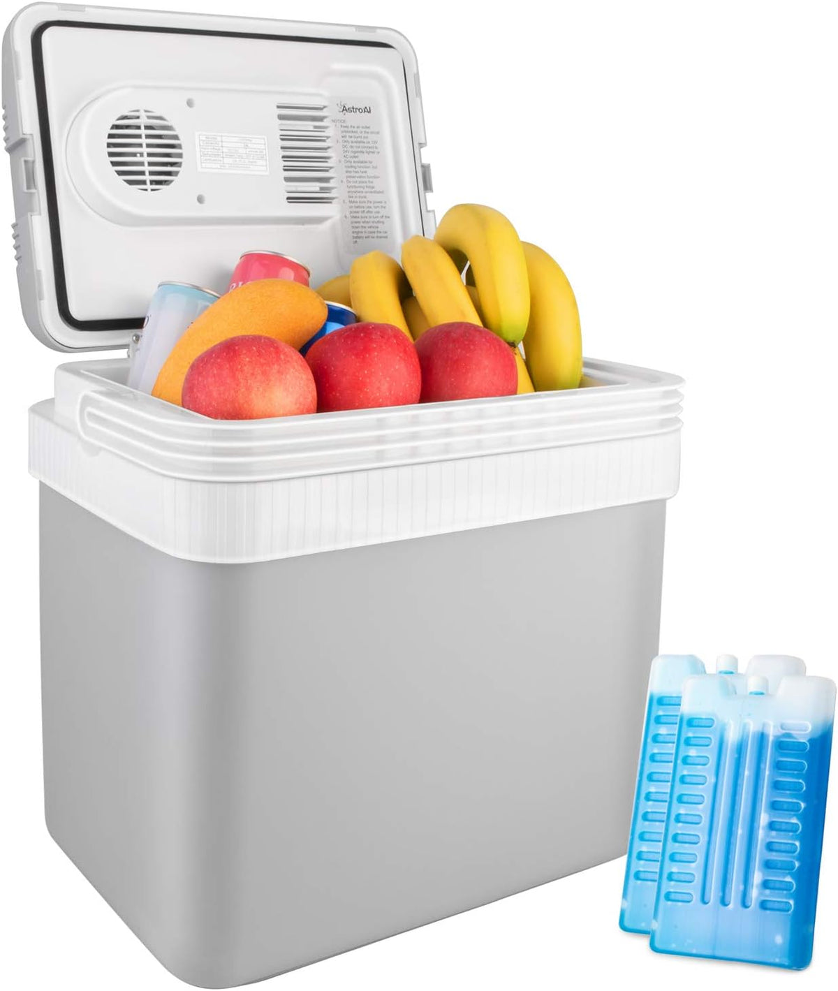 26 Quart 12V DC Portable Thermoelectric Car Cooler with 2 Ice Packs N7463