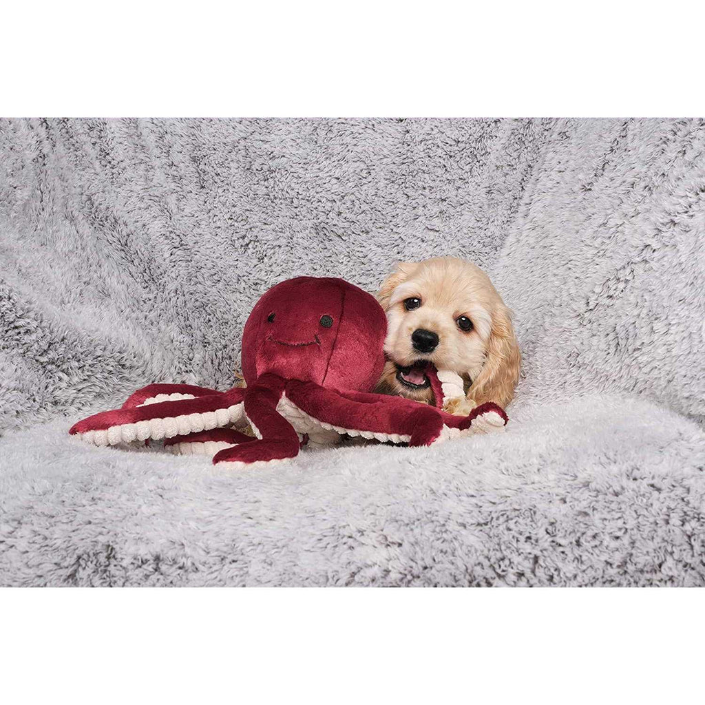Olympia Octopus Pet Supplies Y5930
