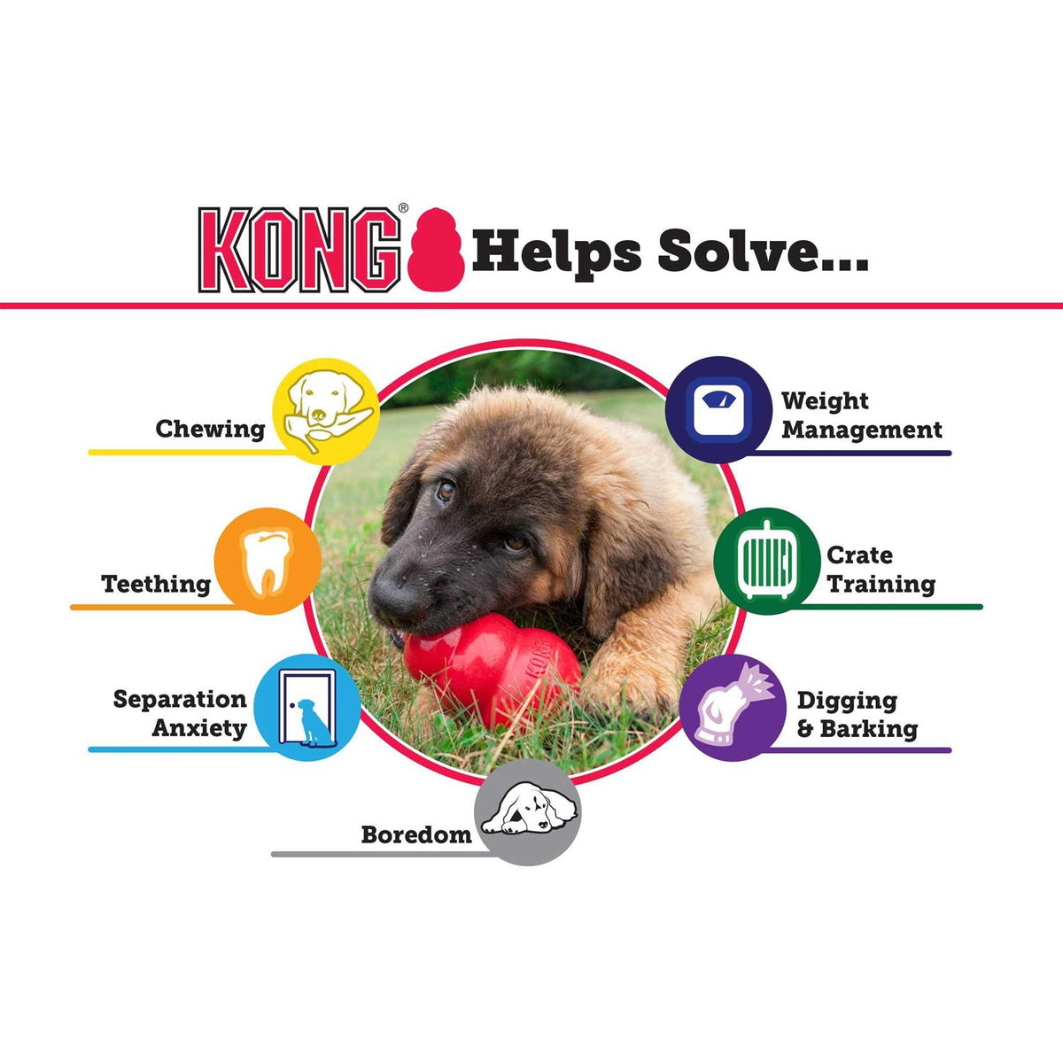 KONG Dog Toy D5015