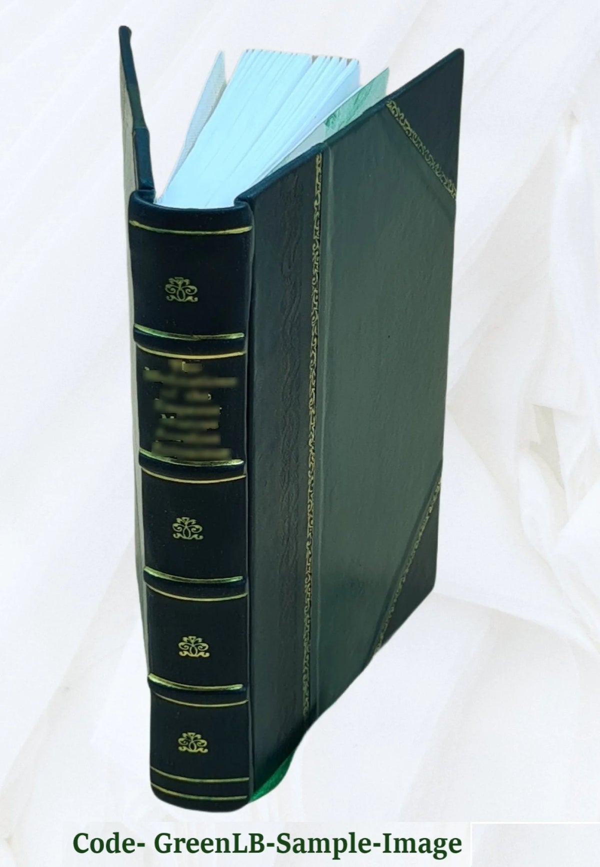 Leather Bound Book E641