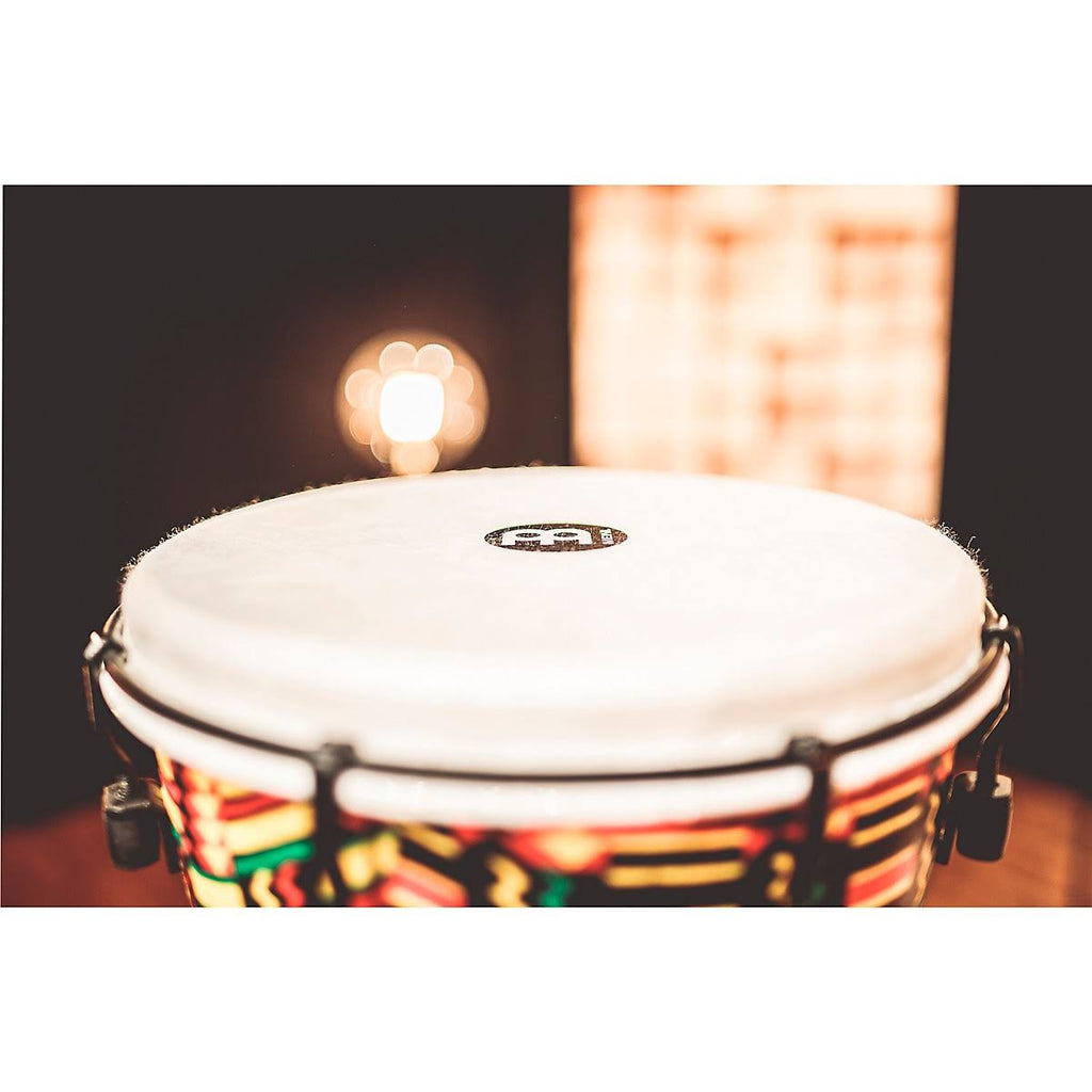 Alpine Series Djembe E134746