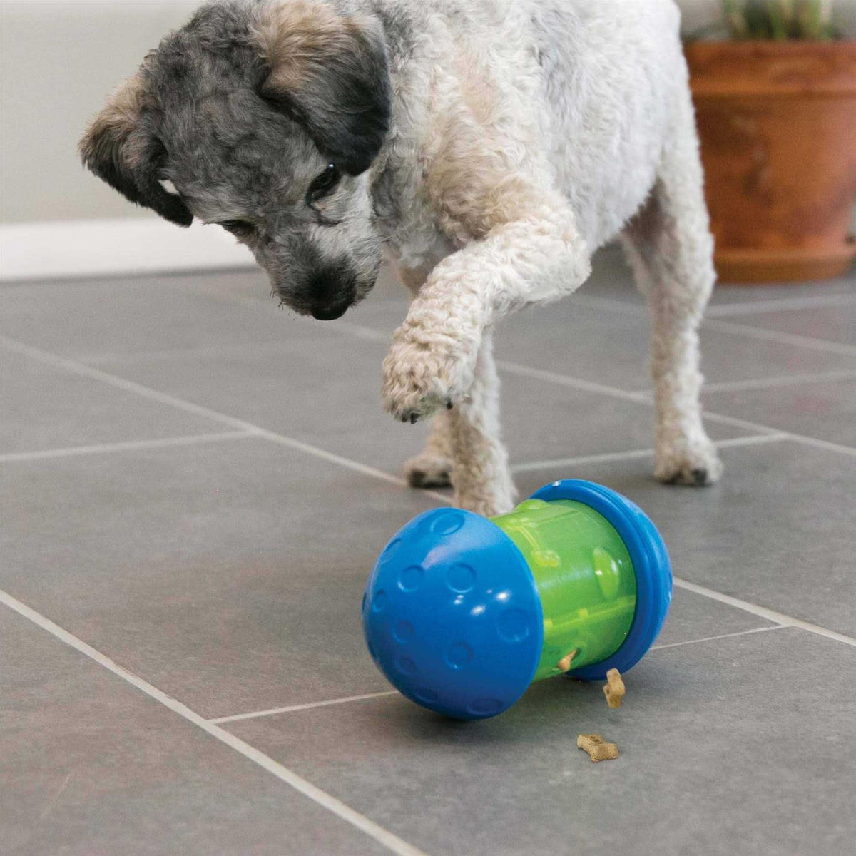 Dog Toy L42037