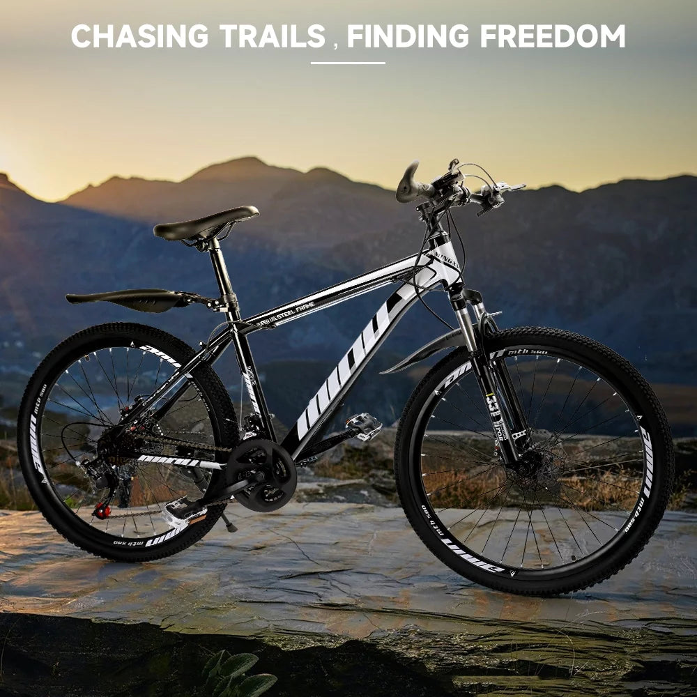 Full Suspension 21 Speed 26 inch Dual Disc Brake Mountain Bike C132429