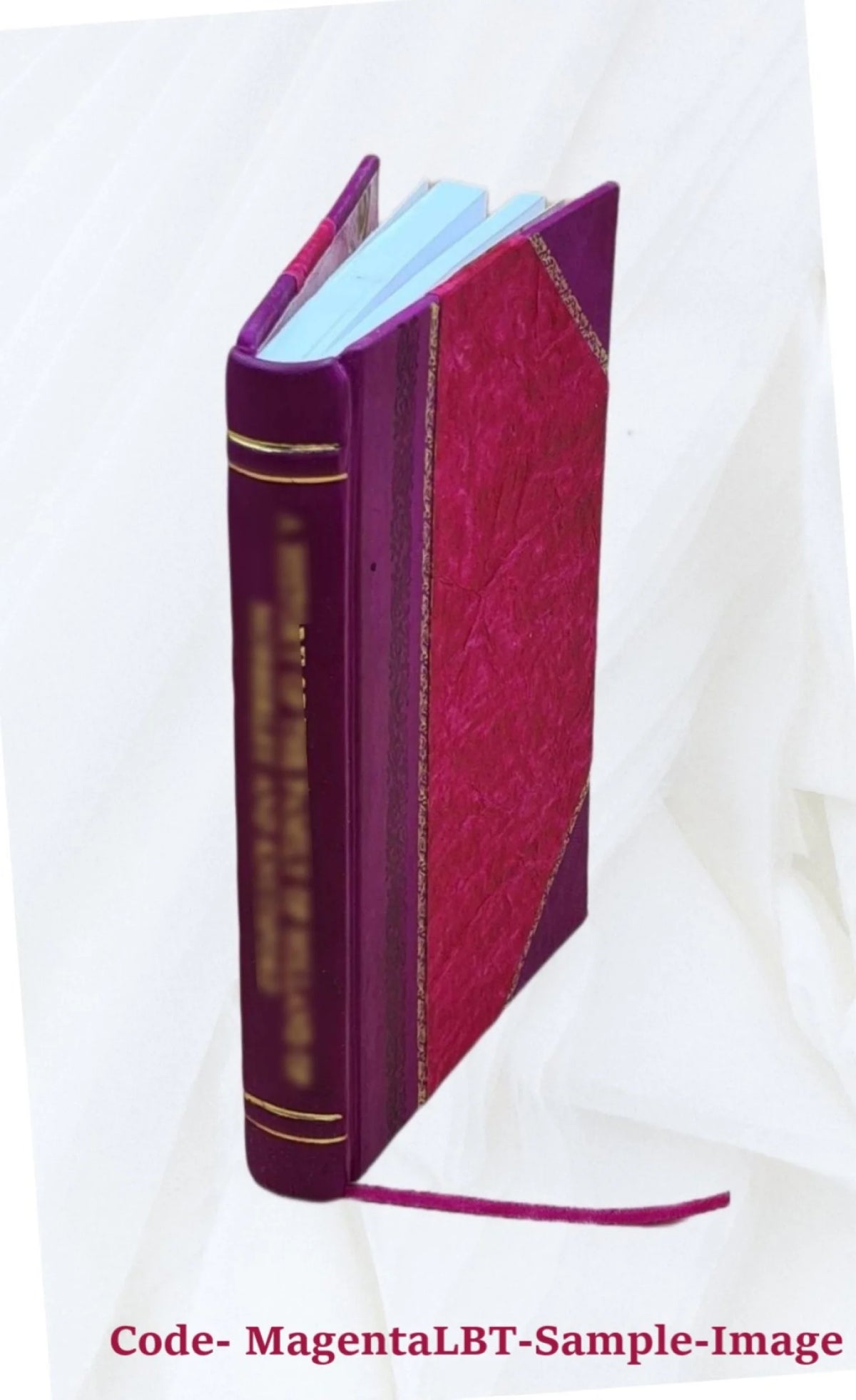 Leather Bound Furniture M54348