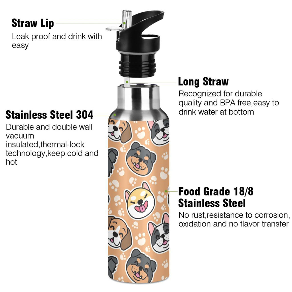 Kids Stainless Steel Insulated Water Bottle with Straw Lid 20 oz X877