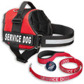 Service Dog Vest and Leash Set G3677