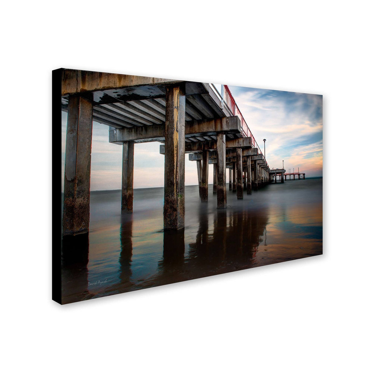 Canvas Art F1617