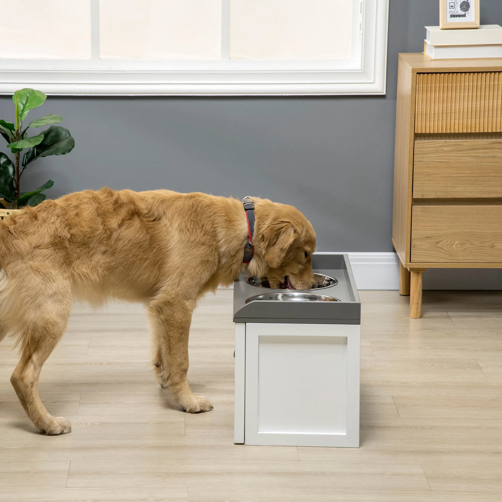 Large Elevated Dog Bowls with 2 Stainless Steel Bowls Z301