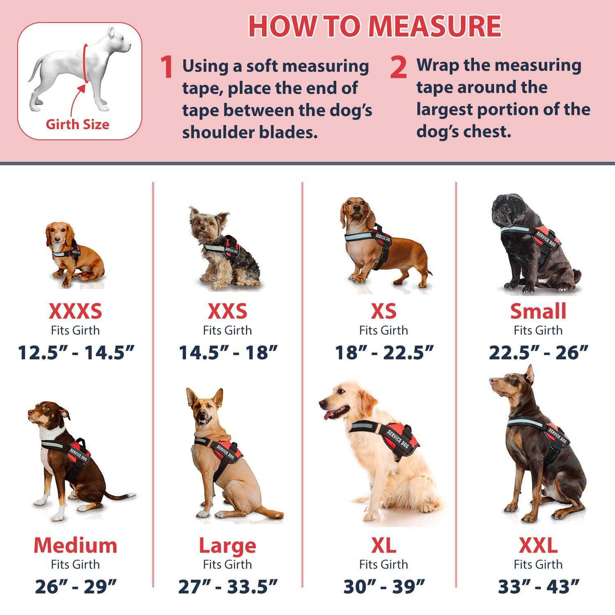 Service Dog Vest and Leash Set G3677