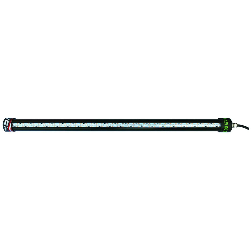 Green LED Fishing Light 24" B39257