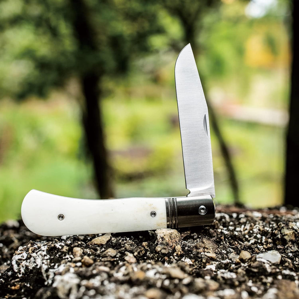 Folding Pocket Barlow Knife with Leather Sheath, 3in Bohler M390 Steel Blade, TC4 Ti Alloy & OX Bone Handle R557