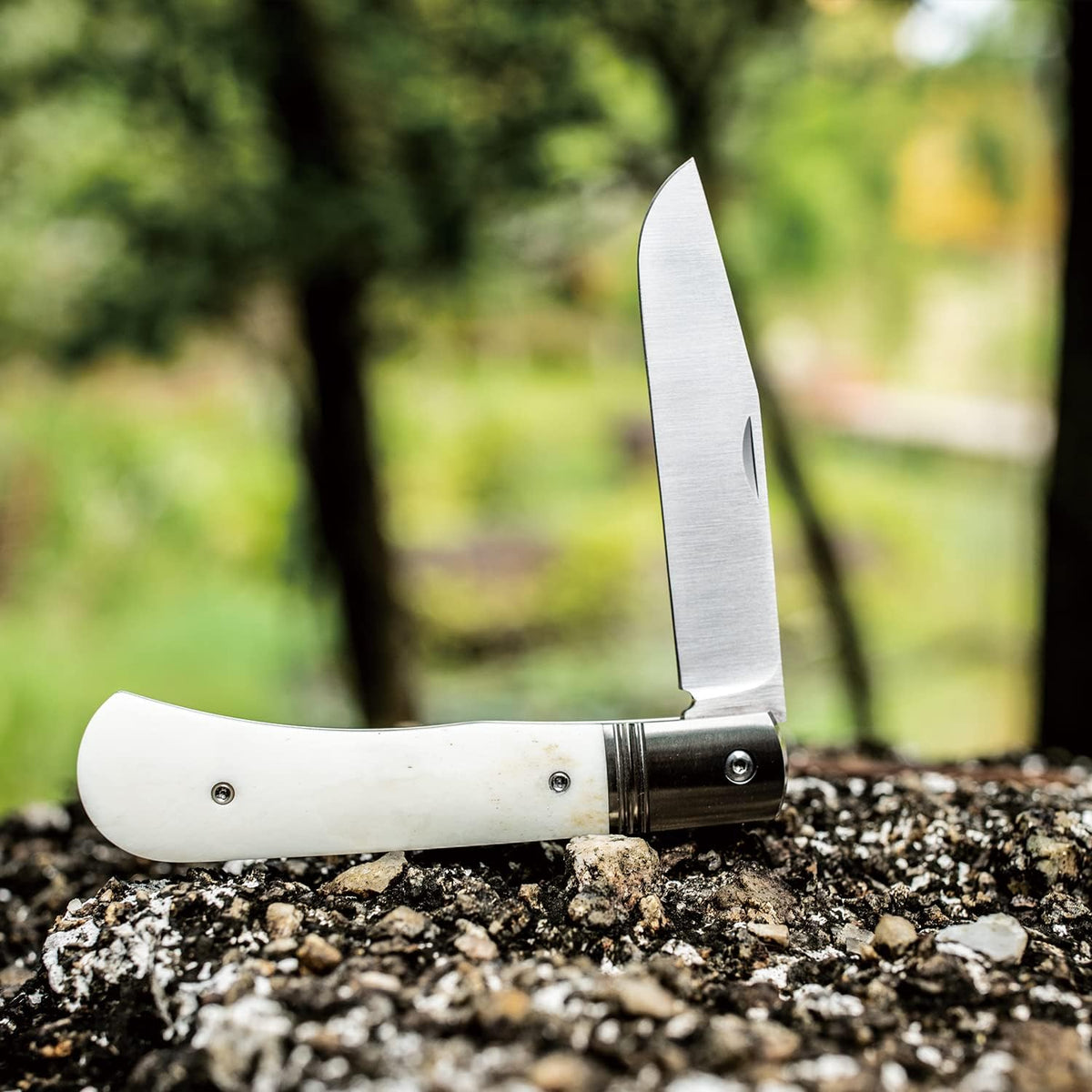 Folding Pocket Barlow Knife with Leather Sheath, 3in Bohler M390 Steel Blade, TC4 Ti Alloy & OX Bone Handle R557