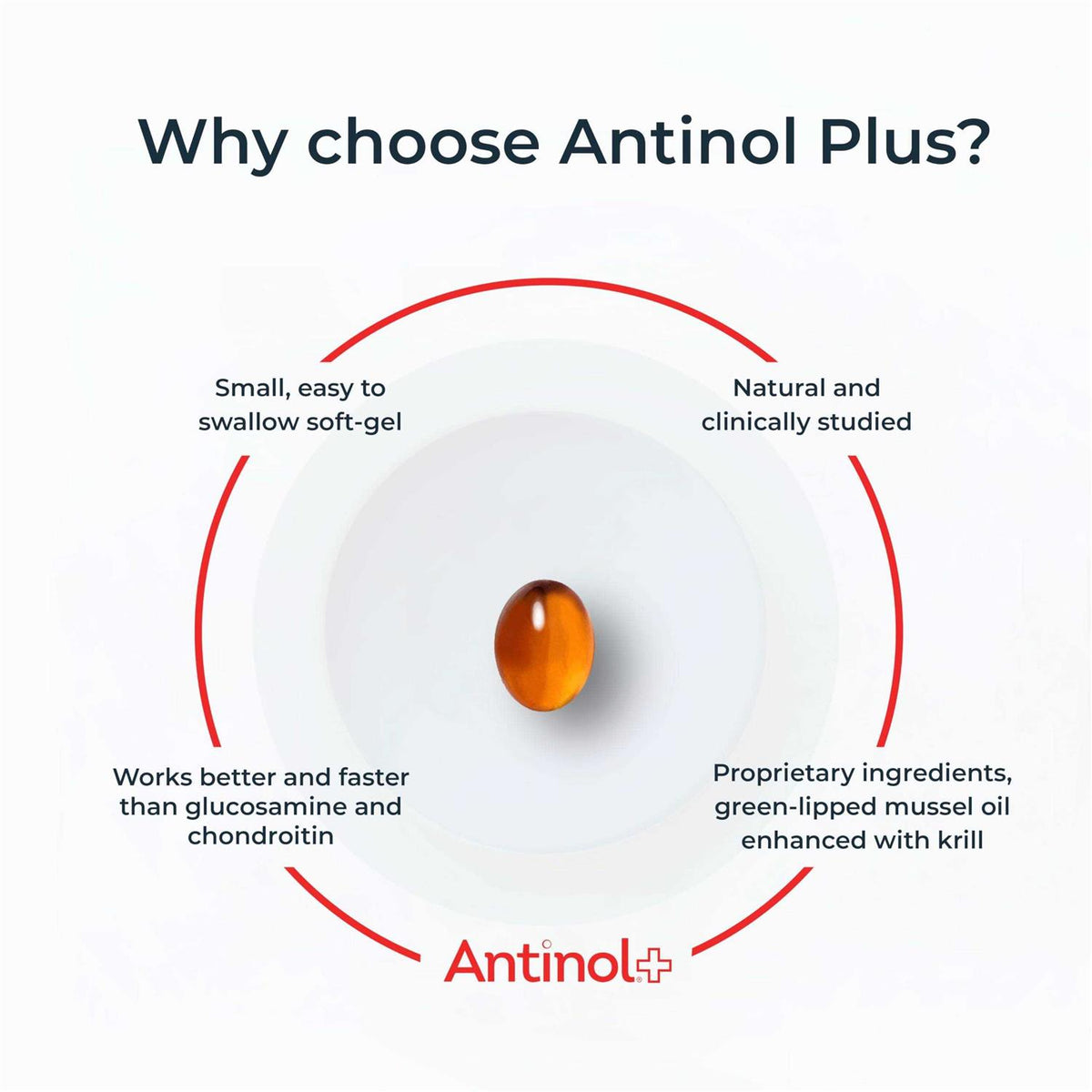 Antinol Plus 60ct Pet Supplies F6863