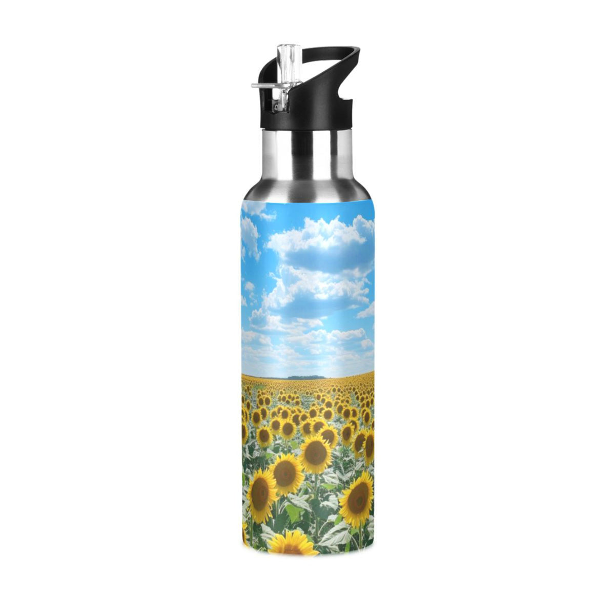 Insulated Thermos Stainless Steel Water Bottle with Straw Lid Flask 20 oz G154