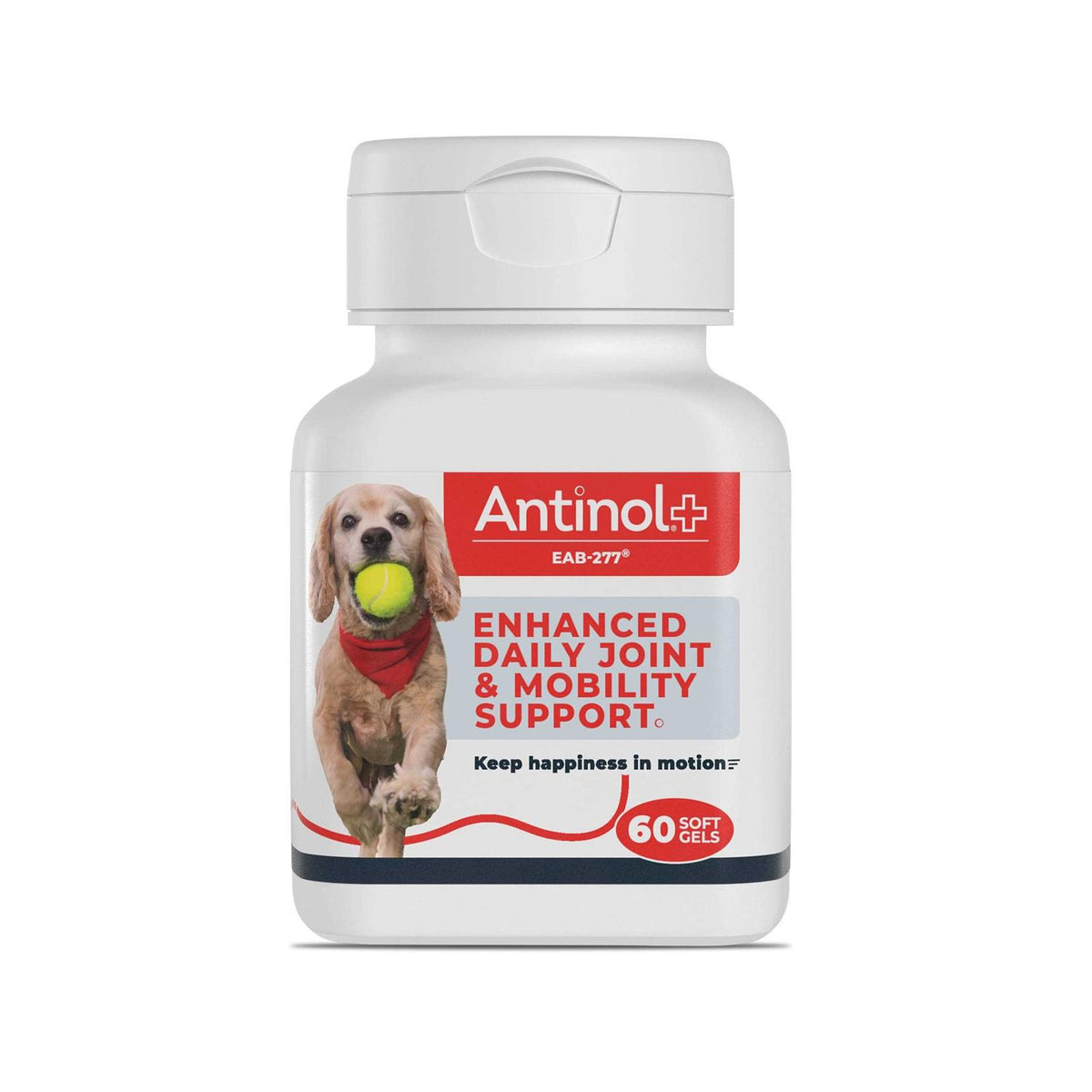 Antinol Plus 60ct Pet Supplies F6863