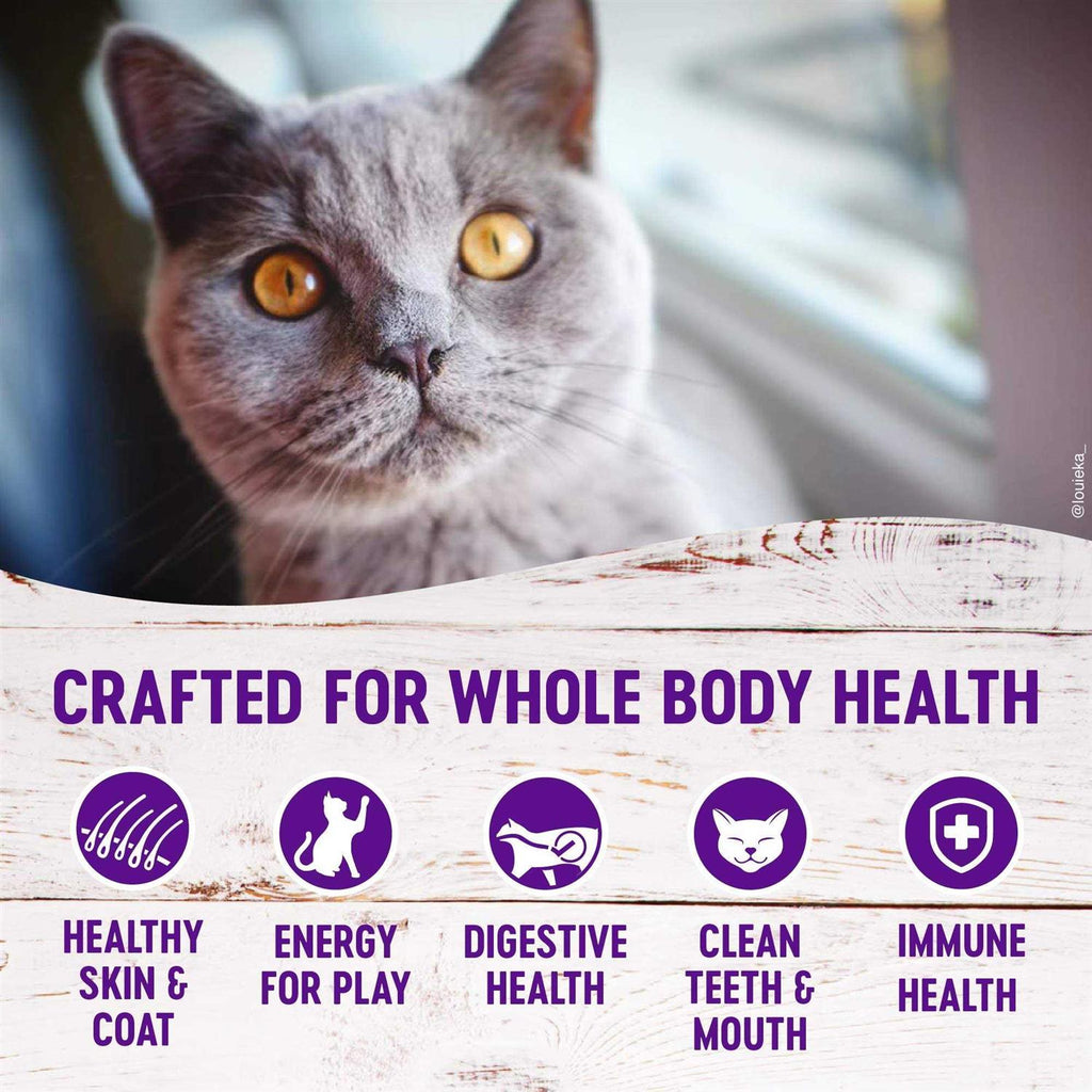 Grain Free Salmon & Herring Indoor Dry Cat Food Q61903