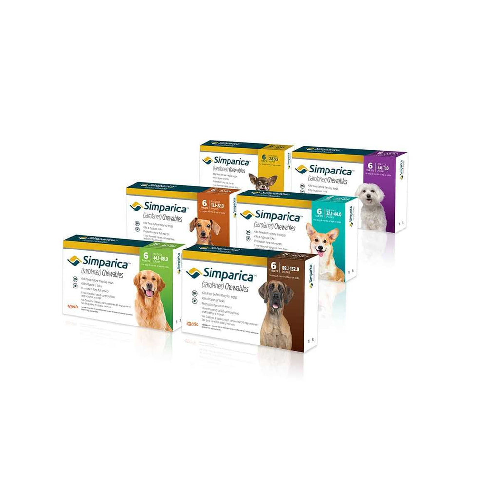 Chewable Tablets for Dogs S448283