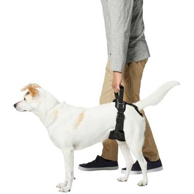 Handicapped Support Dog Harness K70644