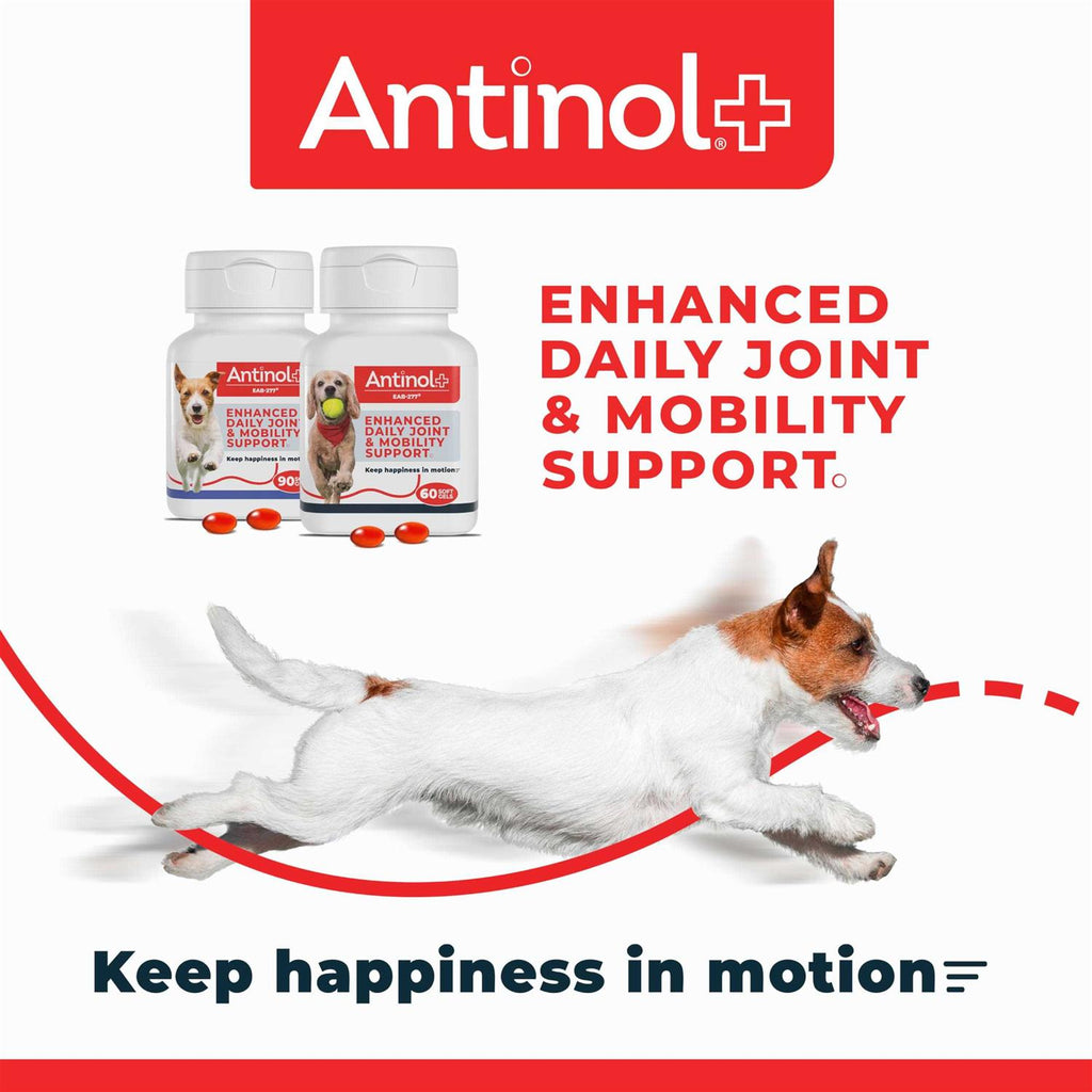 Antinol Plus 60ct Pet Supplies F6863