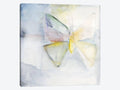 Canvas Art Picture - Butterfly II P301257
