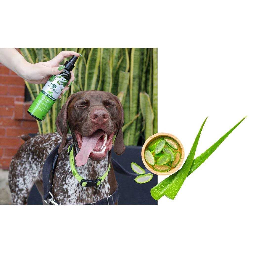 Pet Supplies F897786