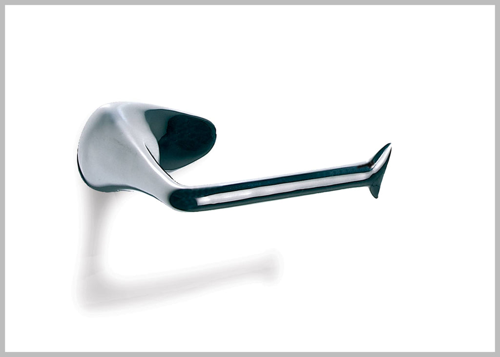 Polished Stainless Steel Toilet Paper Holder Q442803