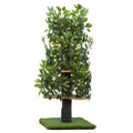 Cat Tree with Leaves Cat House & Cat Activity Tree X654072