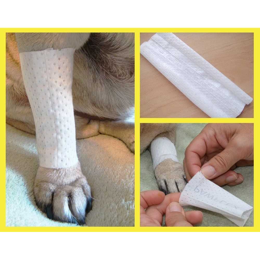 Bandages Protective Covers for Pets P360