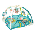 4-in-1 Activity Gym & Play Mat L2177