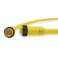 7 Pin Male Cordset Plug W974
