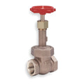 2-1/2 In. Class 200 Gate Valve Q1834