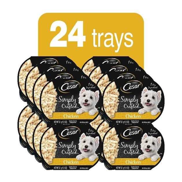 Chicken Q6717