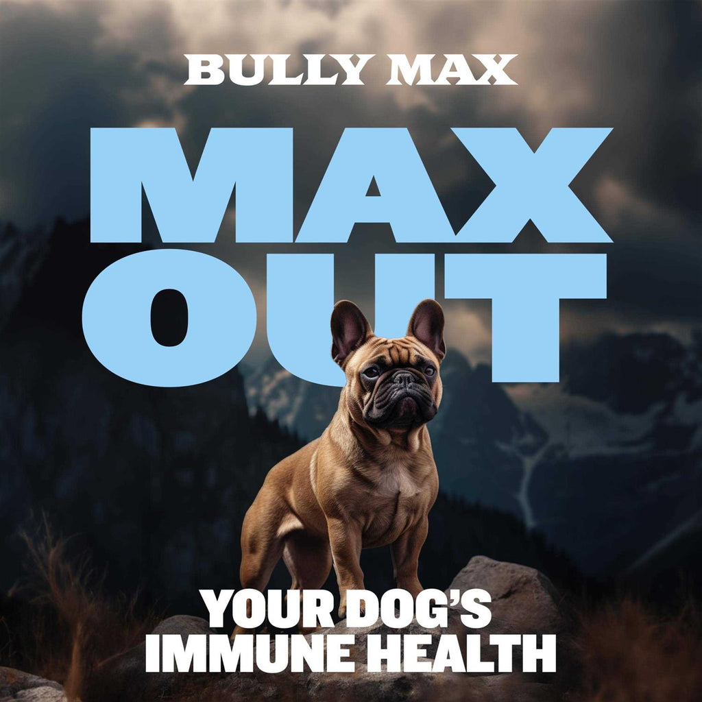 Small Breed Immune Support Tabs B9097