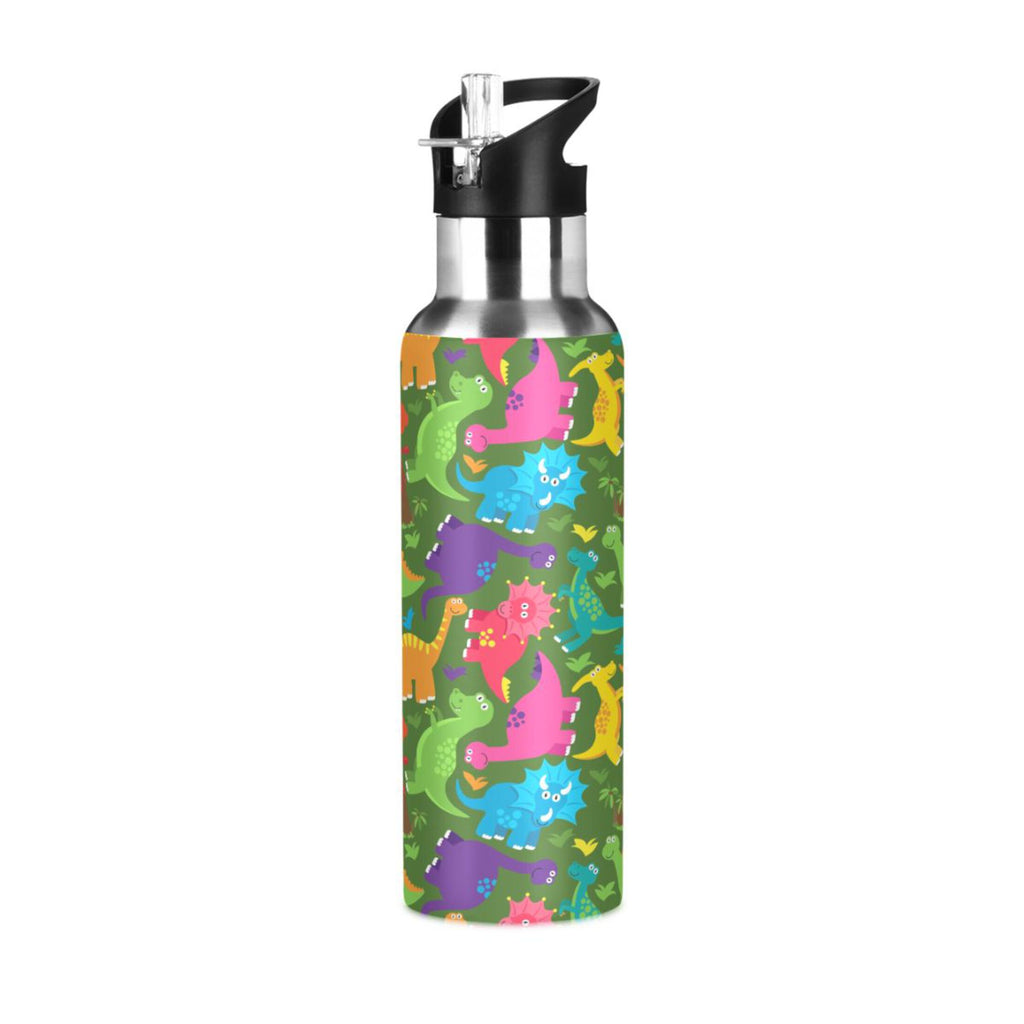 Stainless Steel Water Bottle with Straw Lid Vacuum Insulated 20 OZ Q8425