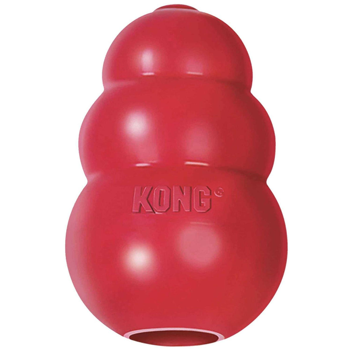 KONG Dog Toy D5015