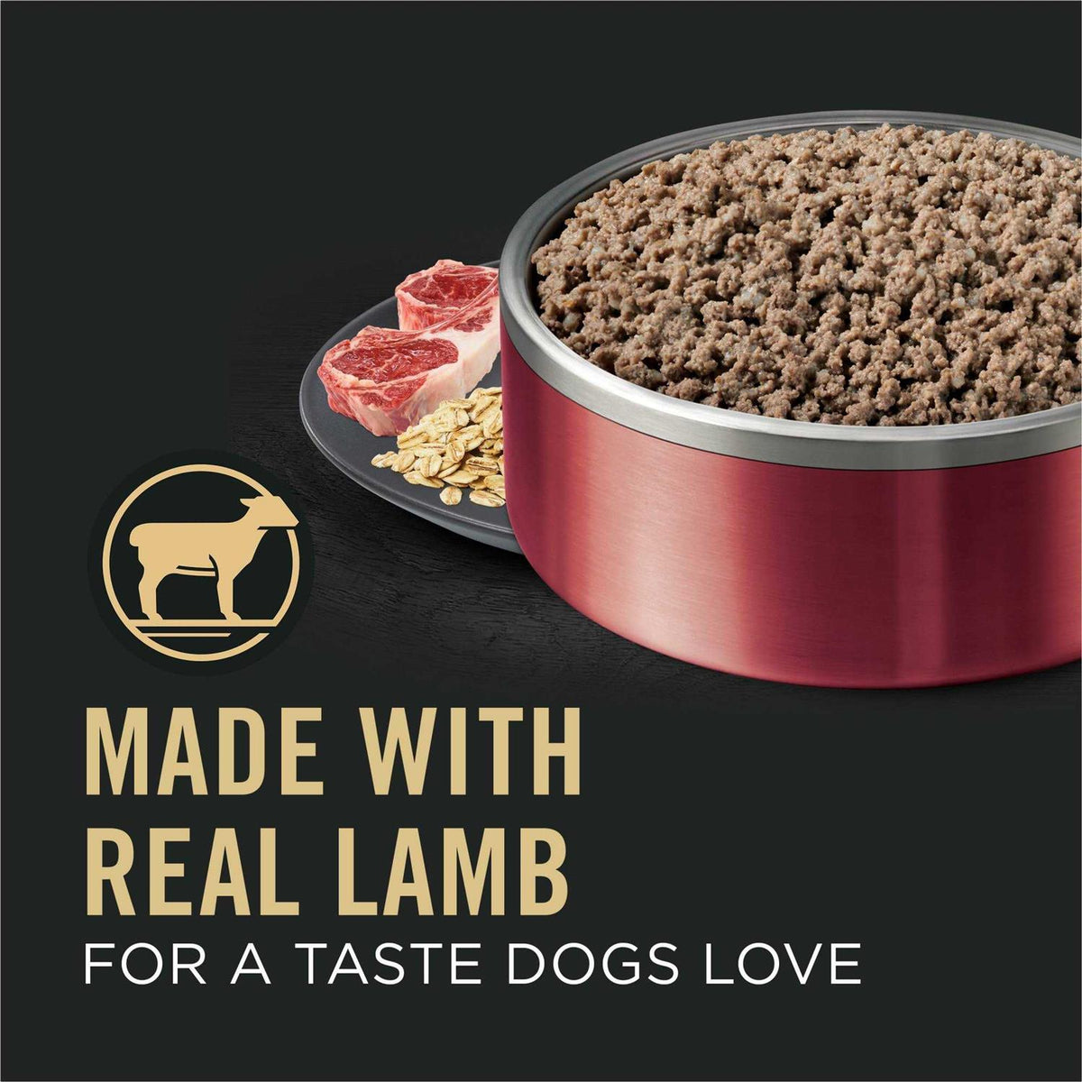 Oat Meal Entree Wet Dog Food R7764