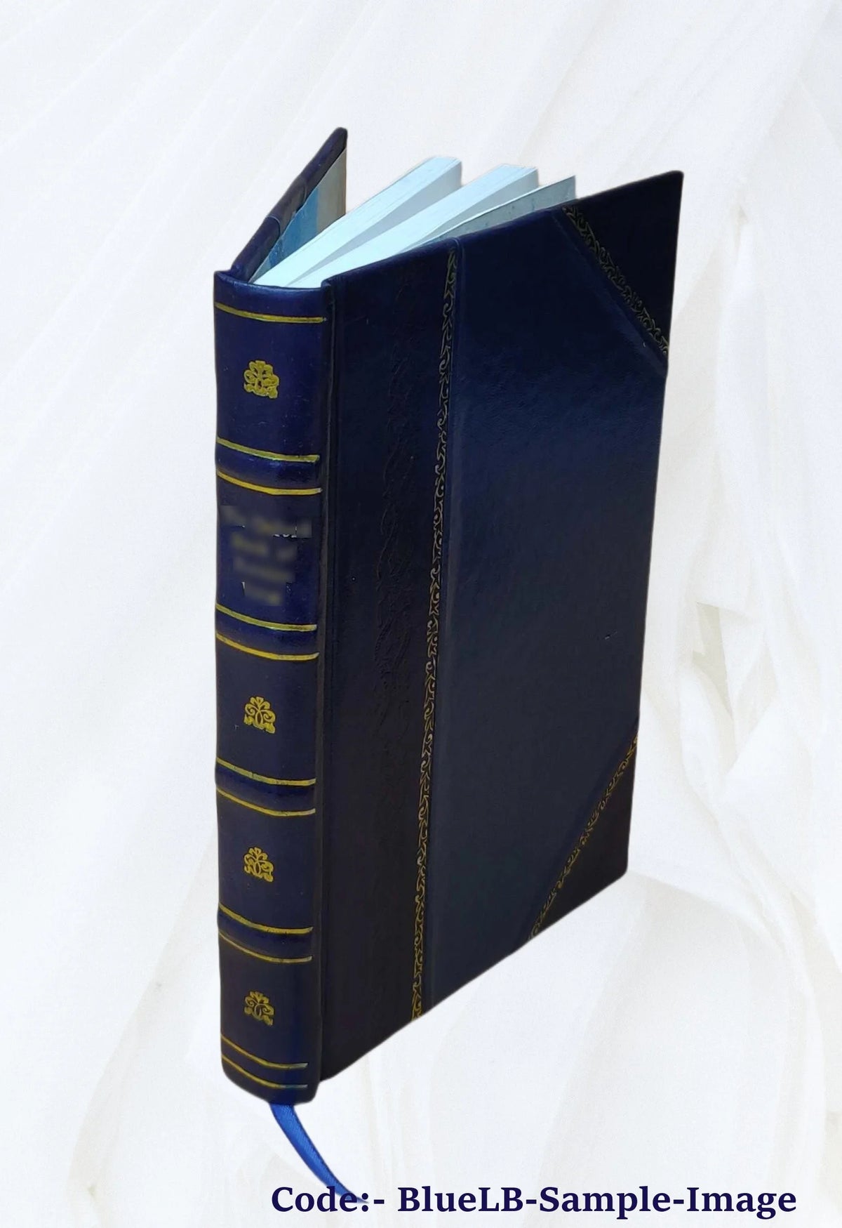 Leather Bound Book E641