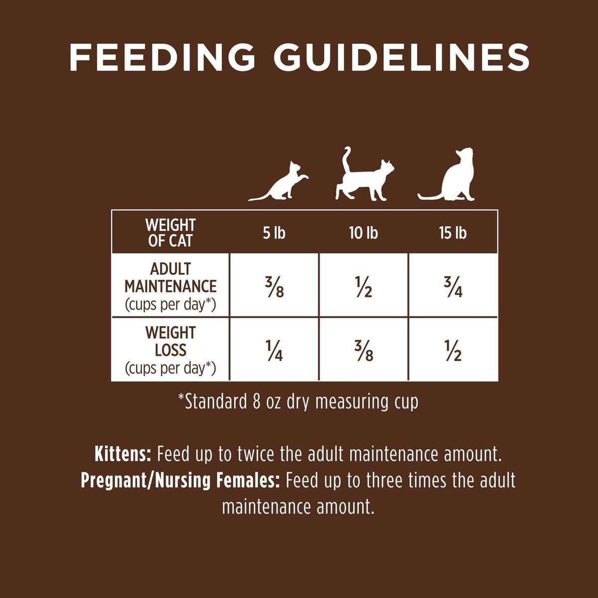 Grain Free Salmon Dry Cat Food C94973