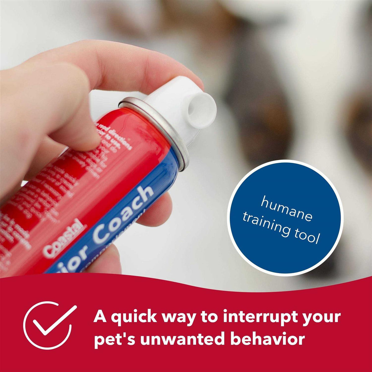 Behavior Coach G96085