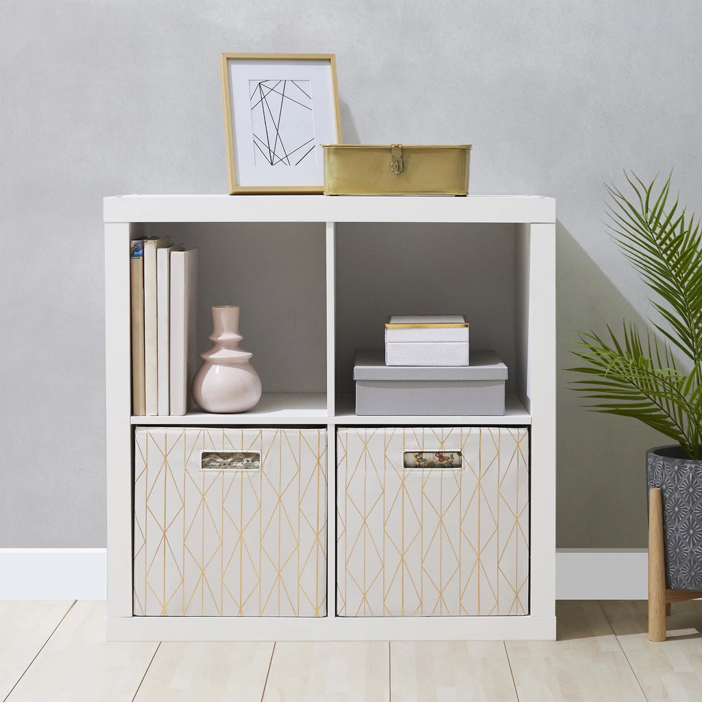 4-Cube Storage Organizer X580