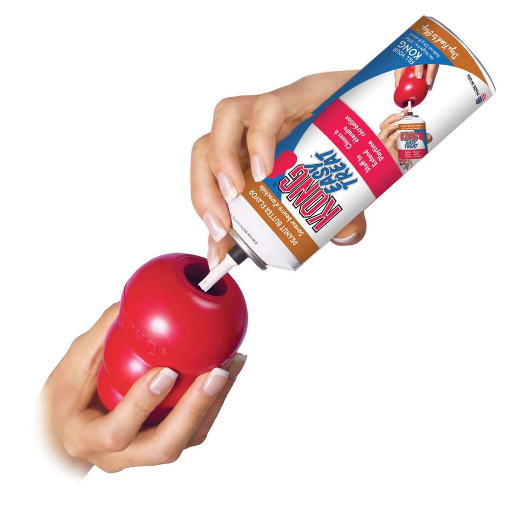 KONG Dog Toy D5015