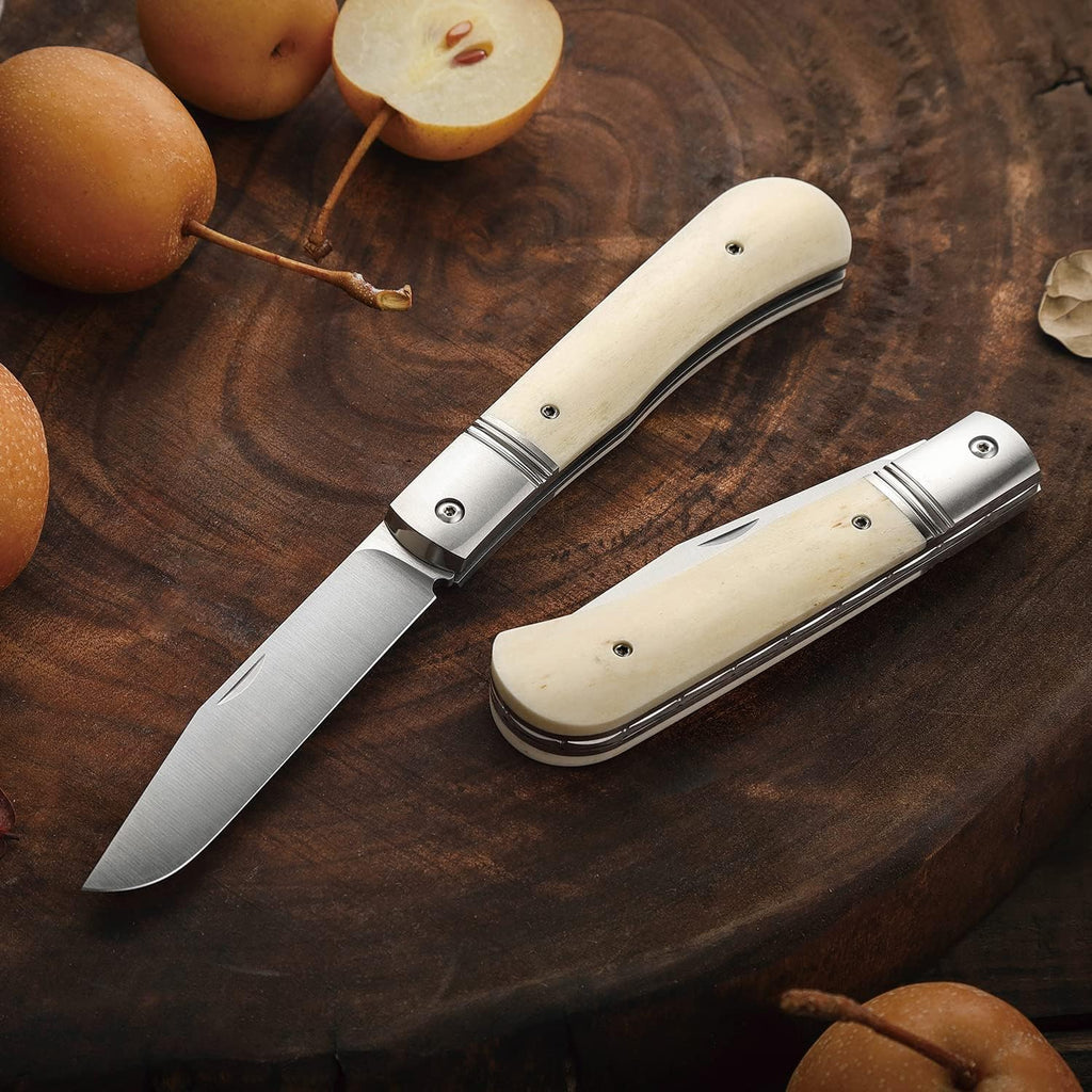 Folding Pocket Barlow Knife with Leather Sheath, 3in Bohler M390 Steel Blade, TC4 Ti Alloy & OX Bone Handle R557