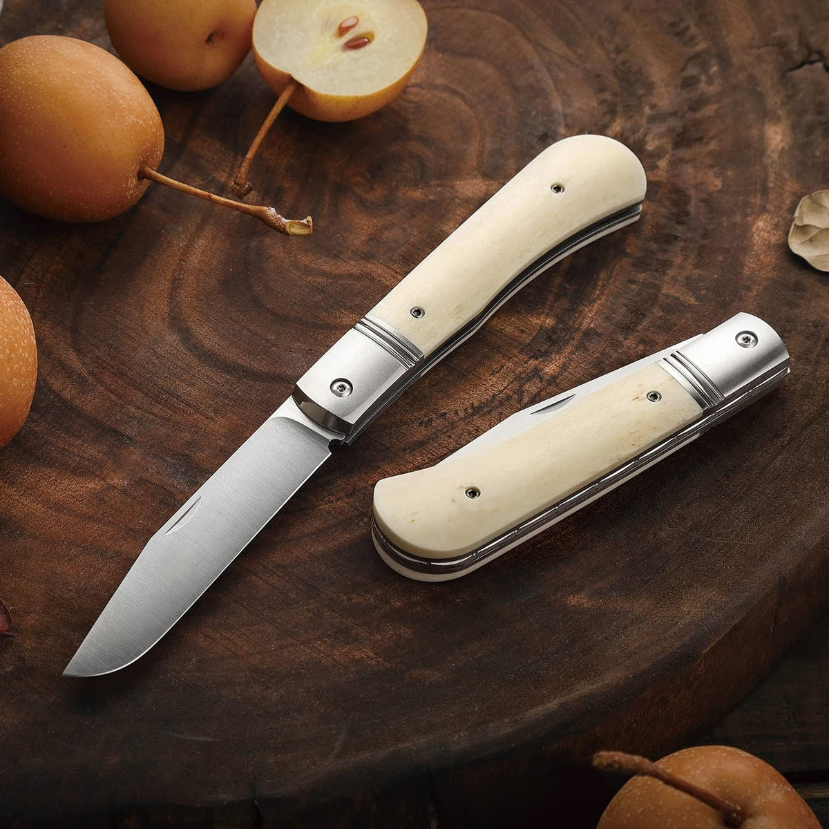 Folding Pocket Barlow Knife with Leather Sheath, 3in Bohler M390 Steel Blade, TC4 Ti Alloy & OX Bone Handle R557